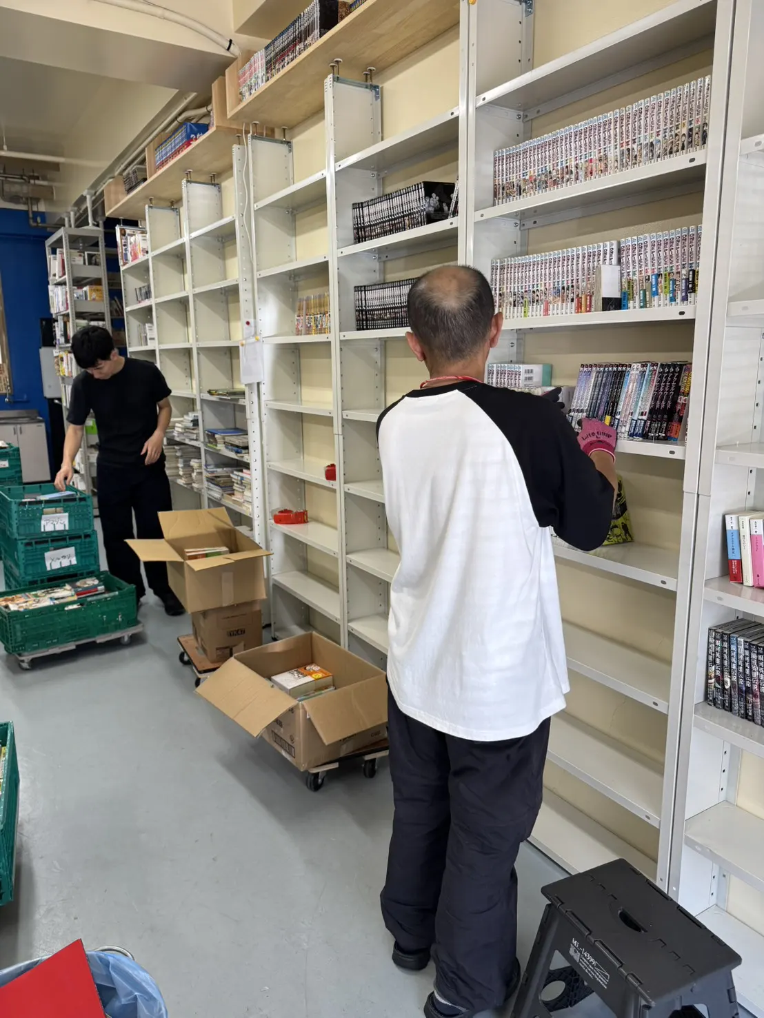 書籍を棚へ整理している作業の様子